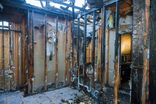 Professional Fire Damage Removal technician working in Howard Lake, MN