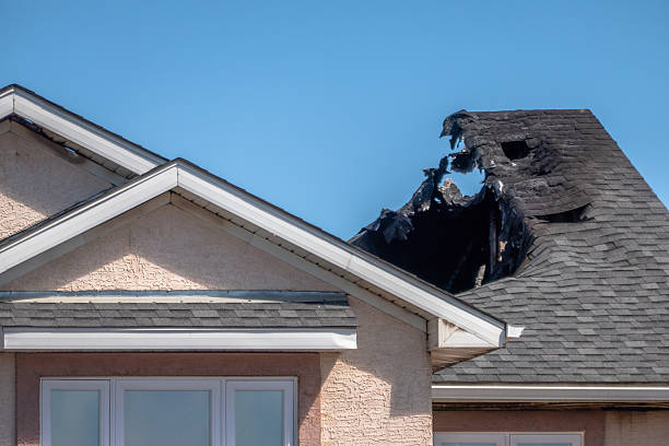 Top rated local Fire Damage Removal specialists in Howard Lake, MN
